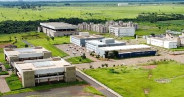 UEMG sob influência de decisão política