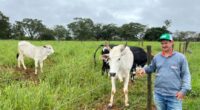 Agro + Verde recupera hectares no oeste de Minas Gerais