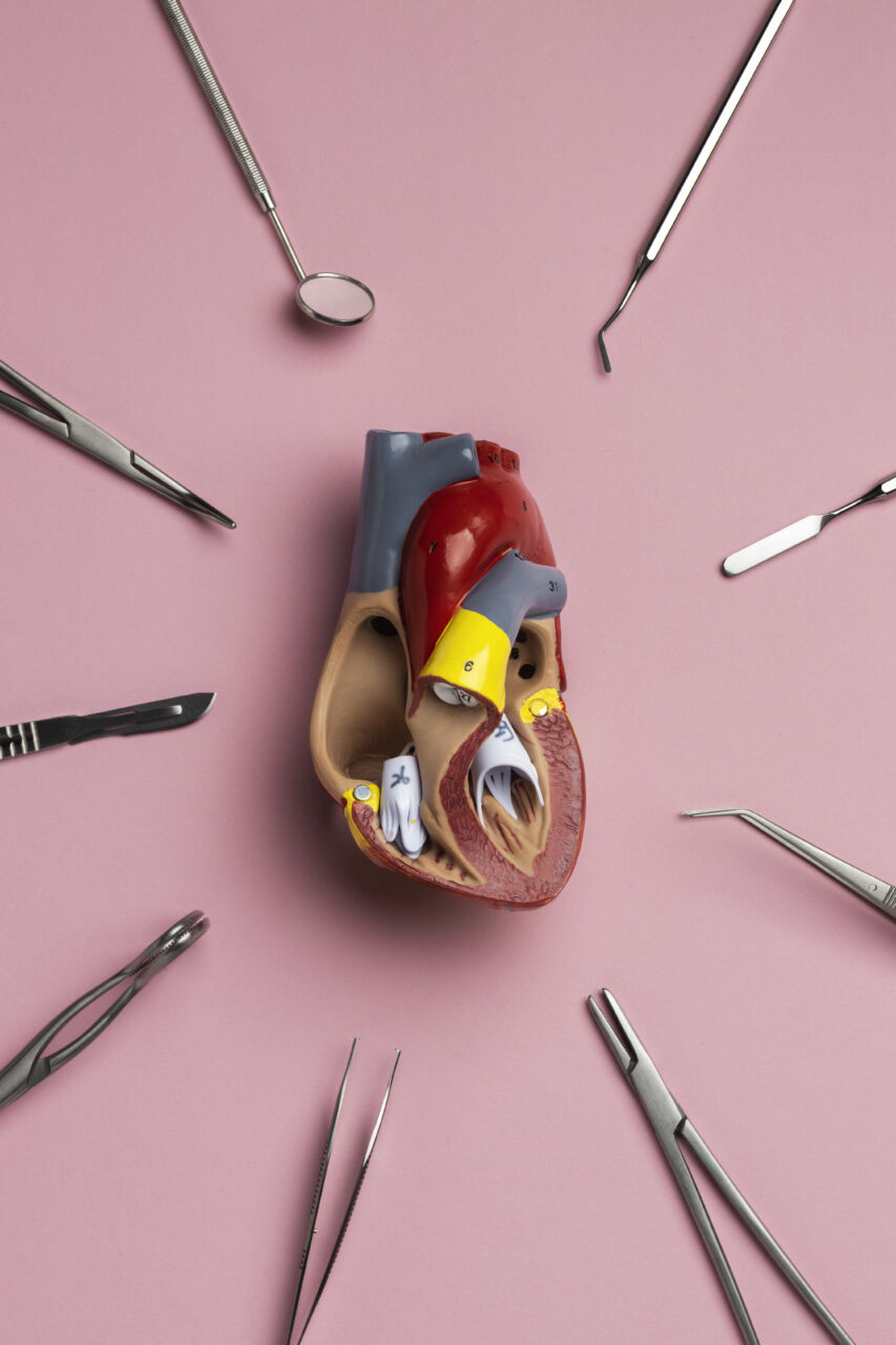 MG Transplante anuncia criação núcleo medula óssea transplante
