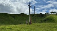 Eletrificação rural recebe investimentos