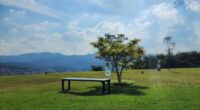 Área verde do Parque Memorial BioParque, em Nova Lima, onde árvores simbolizam homenagens ecológicas e preservação da memória de entes queridos