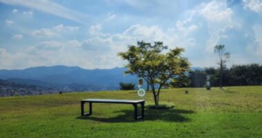 Área verde do Parque Memorial BioParque, em Nova Lima, onde árvores simbolizam homenagens ecológicas e preservação da memória de entes queridos