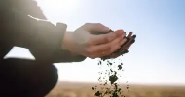 a forca do agro dia de agosto dia h x jpg