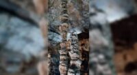 Caverna de Minas guarda memória do clima da terra