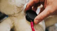médico atendendo pediatra