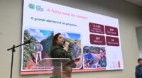 Safra de café em Minas Gerais deve alcançar , milhões de sacas em
