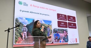 Safra de café em Minas Gerais deve alcançar , milhões de sacas em