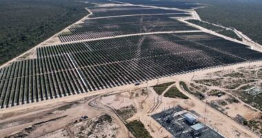 Usina de R$ milhões inaugurada no Jequitinhonha