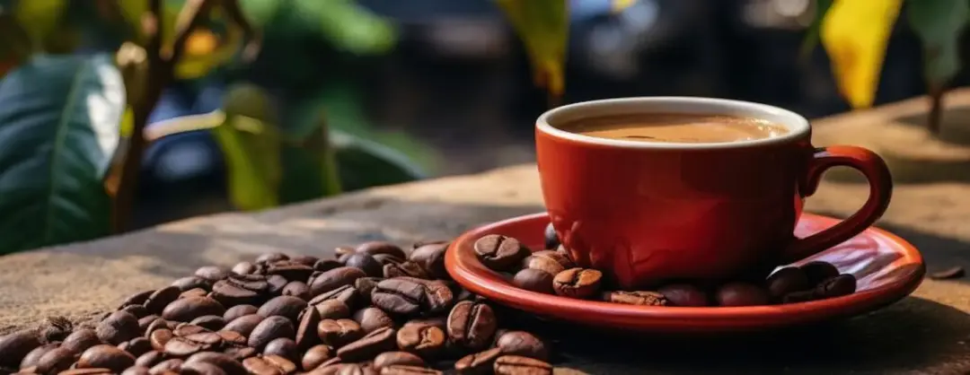 Xícara de café sobre mesa cercada por grãos torrados, imagem que representa o crescimento da produção cafeeira em Minas Gerais e o avanço do consumo da bebida entre jovens Xícara de café sobre mesa cercada por grãos torrados, imagem que representa o crescimento da produção cafeeira em Minas Gerais e o avanço do consumo da bebida entre jovens