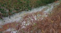 Prejuízos por chuva e granizo: veja o que o produtor deve fazer para comprovar perdas